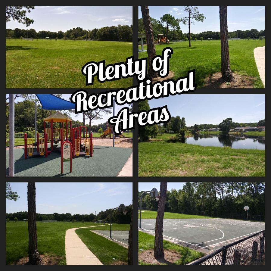 Tampa Citrus Park公寓 外观 照片