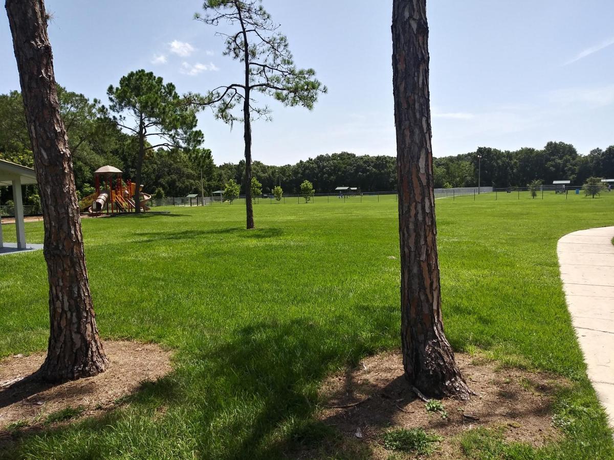 Tampa Citrus Park公寓 外观 照片