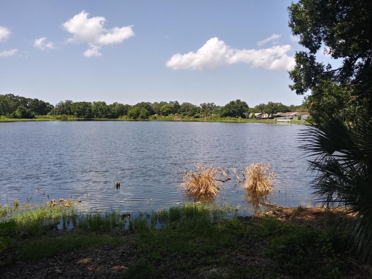 Tampa Citrus Park公寓 外观 照片